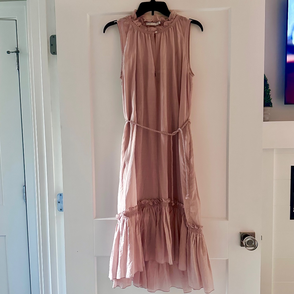 Bird + Knoll Gorgeous Delicate Georgette Dress In Pale Blush Sz Xs New